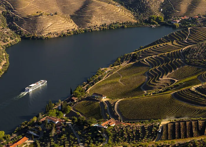 Casa Camelia Bed & Breakfast Porto